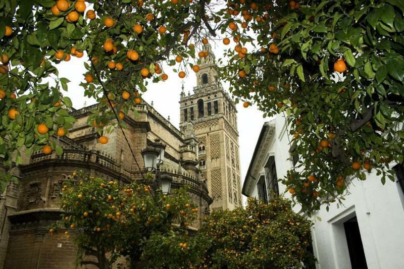Pension La Montorena Seville Exterior photo